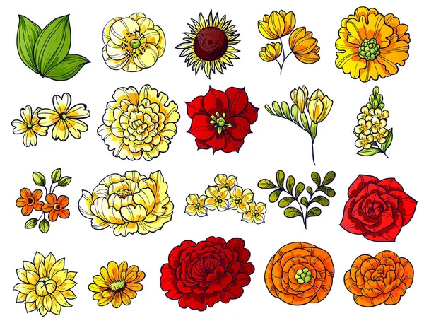 Conjunto de flores colección — Archivo Imágenes Vectoriales