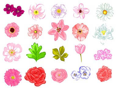 Dizi güzel renkli çiçekler