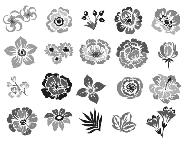 Conjunto de hermosas flores ornamentadas — Vector de stock