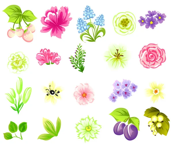 Conjunto de belas flores coloridas — Vetor de Stock