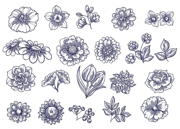 Conjunto de hermosas flores ornamentadas — Archivo Imágenes Vectoriales