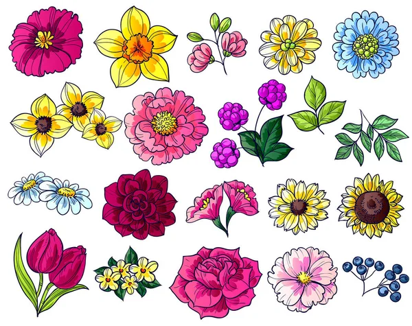 Conjunto de belas flores coloridas —  Vetores de Stock