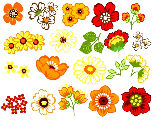 Conjunto de hermosas flores de colores — Vector de stock