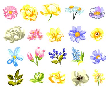 Dizi güzel renkli çiçekler