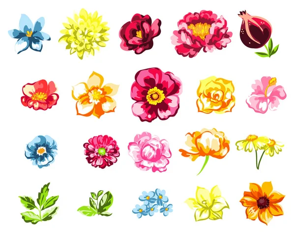 美丽的七彩花朵一套 — 图库矢量图片