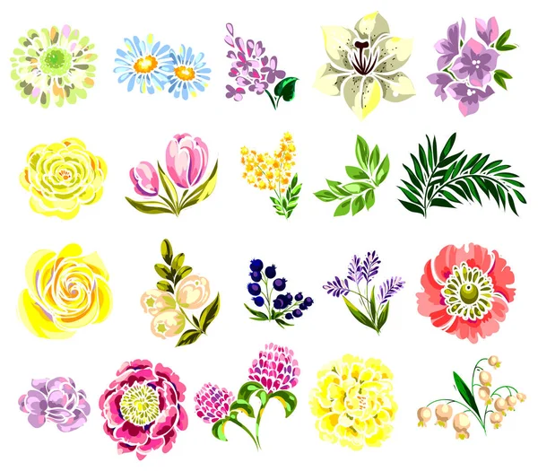 Dizi güzel renkli çiçekler — Stok Vektör