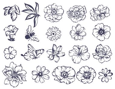 Güzel çiçek kümesi