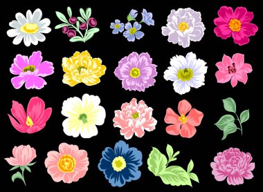 Dizi güzel renkli çiçekler