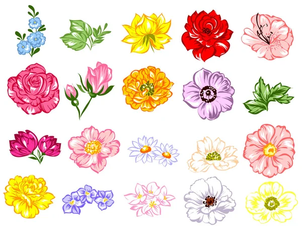 Conjunto de hermosas flores de colores — Archivo Imágenes Vectoriales