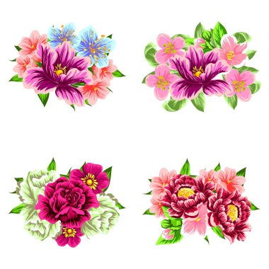 Dizi güzel renkli çiçekler