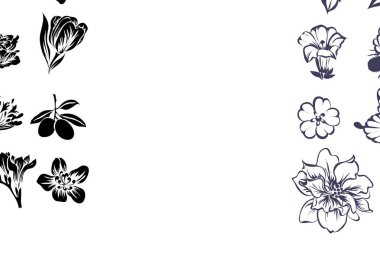  çiçek davetiye, vektör, illüstrasyon