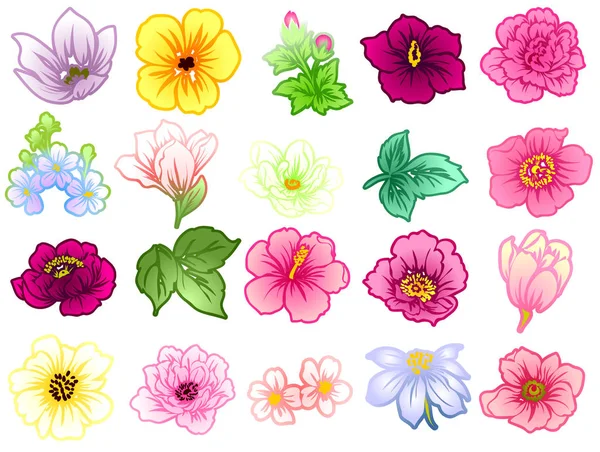 Ensemble de belles fleurs colorées — Image vectorielle