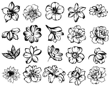 Beyaz arka plan üzerinde izole dört süslü çiçekler kümesi