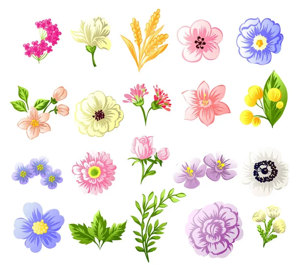 Conjunto Cuatro Coloridas Flores Aisladas Sobre Fondo Blanco — Vector de stock