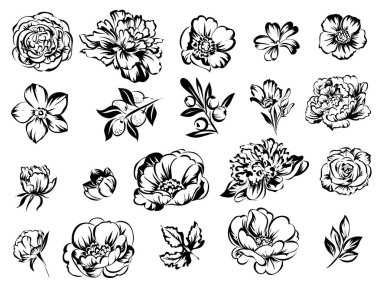 Beyaz arka plan üzerinde izole dört süslü çiçekler kümesi