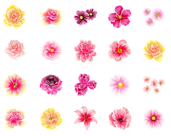 Conjunto de hermosas flores de colores — Vector de stock