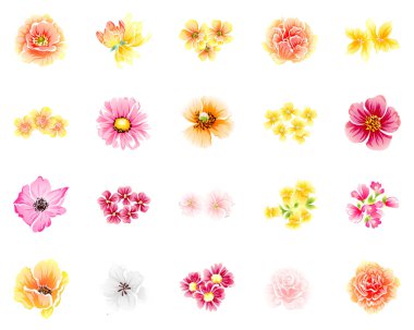 Dizi güzel renkli çiçekler