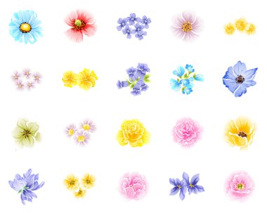 Dizi güzel renkli çiçekler