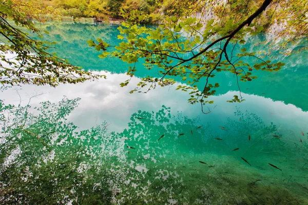 Autumn begins -  Plitvice Lakes National Park, Croatia — Stock Photo, Image