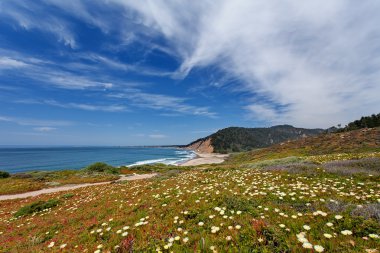 Pasifik Okyanusu - California devlet yolu 1 (Pacific Coast Highway), yakın Monterey Kaliforniya, ABD