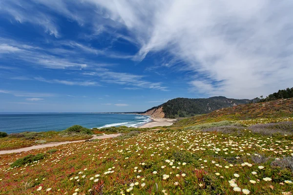 Pacific Ocean - California State Route 1 (Pacific Coast Highway), cerca de Monterey California, Estados Unidos — Foto de Stock