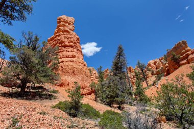 Bryce Kanyonu Ulusal Parkı, Utah, ABD