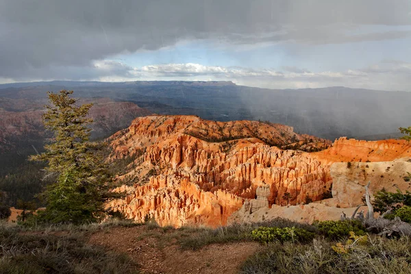 Parque Nacional Bryce Canyon - tormenta de nieve al atardecer, Utah, Estados Unidos de América —  Fotos de Stock