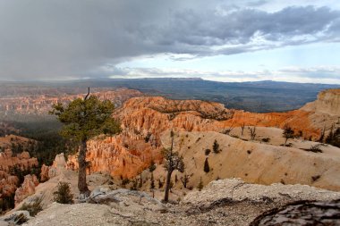 Bryce Canyon Milli Parkı - kar fırtınası, günbatımı, Utah, Amerika Birleşik Devletleri