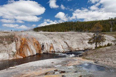 Üst Şofben Havzası, Yellowstone Milli Parkı, Wyoming, Amerika Birleşik Devletleri