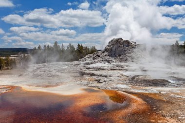 Üst Şofben Havzası, Yellowstone Milli Parkı, Wyoming, Amerika Birleşik Devletleri