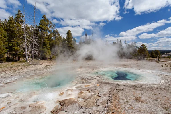 Upper geyser basin, Yellowstone National Park, Wyoming, États-Unis d'Amérique — Photo