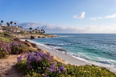 La Jolla - Güney California, Amerika Birleşik Devletleri