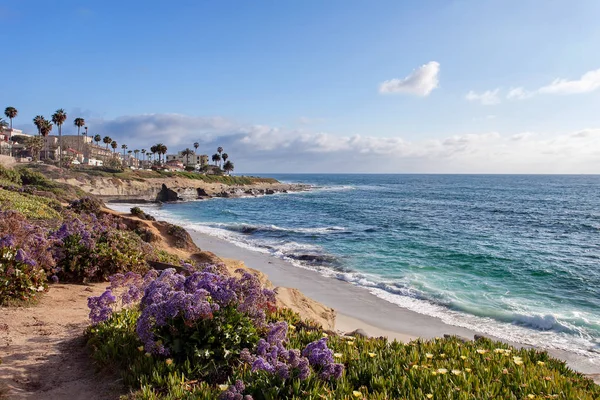 La Jolla - Sur de California, Estados Unidos de América — Foto de Stock