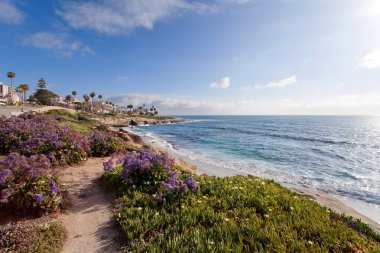 La Jolla - Güney California, Amerika Birleşik Devletleri