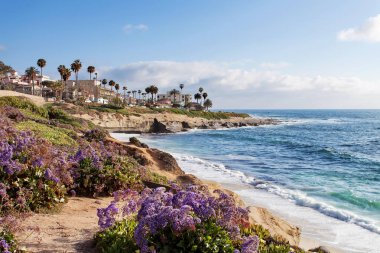 La Jolla - Güney California, Amerika Birleşik Devletleri