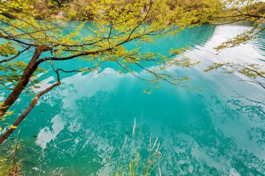 Plitvice Gölleri Milli Parkı, Dalmaçya, Hırvatistan