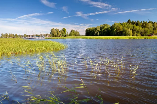 Hamina Finland Typiskt Lokalt Landskap Sommar — Stockfoto