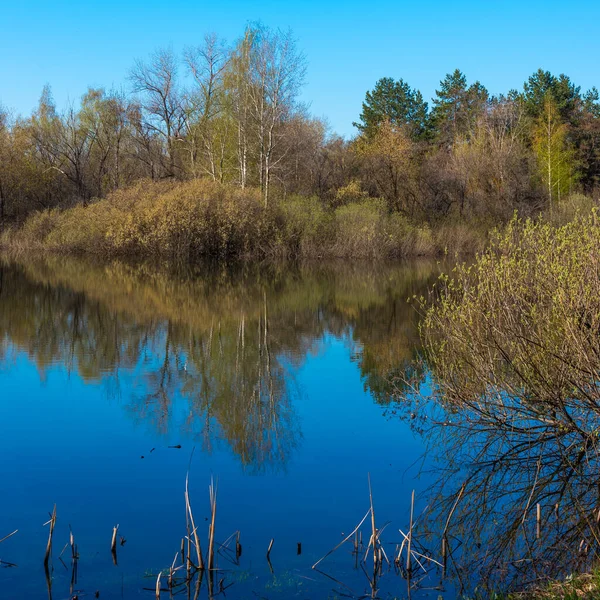 Spring Landscape Forest Lake Early Spring Trees Reflecting Blue Water — Stock Photo, Image