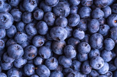 Olgun yaban mersini yakından çekilmiş güzel böğürtlen arkaplanı, yaban mersinli makro fotoğraf.