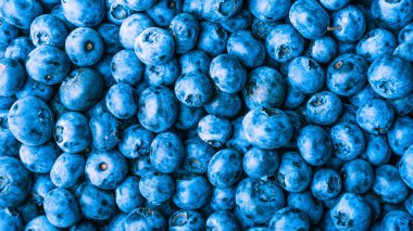 Düz bir yüzeyde bir sürü böğürtlen, üst manzara, yakın çekim. Böğürtlenlerin arka planı, yaban mersini makrosu