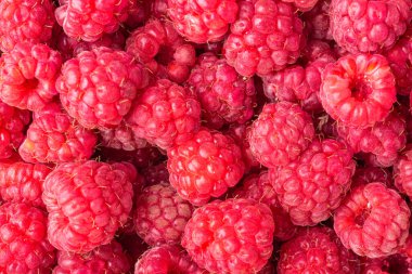 Kırmızı çilekli böğürtlenleri yakından çek. Ahududu fotografı, kırmızı böğürtlen arkaplan