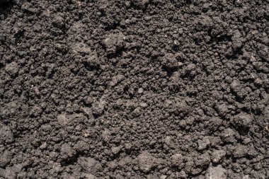 Koyu kahverengi ezilmiş ova turbası, gübre ve toprak bileşeni - tarım için arka plan