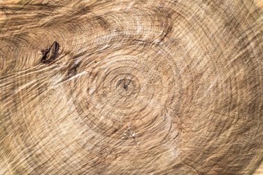 Yıllık halkalarla kesilmiş eski kahverengi ağaç testeresi