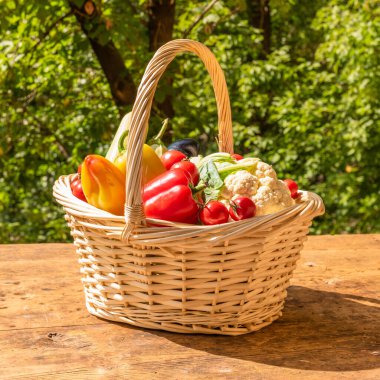 Güneşli bir günde bahçedeki ağaçların arka planında, ahşap bir masada olgun sebzelerle dolu sepet. Yakın plan.