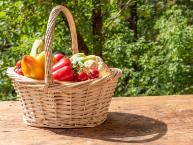 Olgun sebzelerle dolu sepet, bahçedeki ağaçların arka planında, ahşap bir masanın üzerinde.