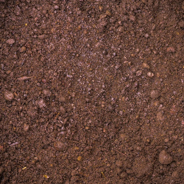 Tierra Fértil Color Marrón Oscuro Con Turba Fondo Para Agricultura — Foto de Stock