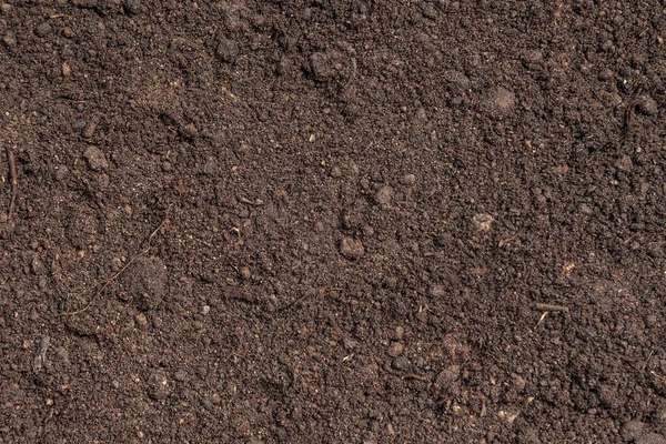 Dark brown fertile soil with peat and black soil - background for agriculture