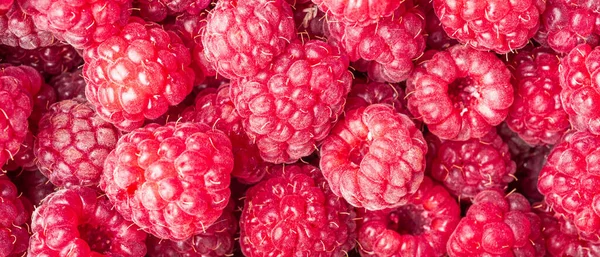 Red Ripe Strawberry Berries Closeup Macro Photo Raspberry Red Berry — Stock Photo, Image