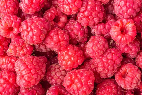 Kırmızı çilekli böğürtlenleri yakından çek. Ahududu fotografı, kırmızı böğürtlen arkaplan