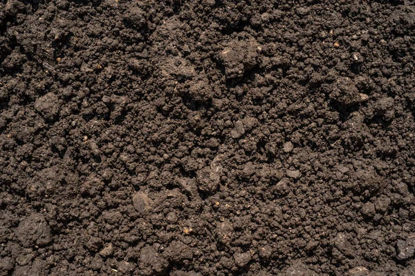 Dark Brown Crushed Lowland Peat Fertilizer Soil Component Background Agriculture — Stock Photo, Image